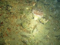 Photo 09