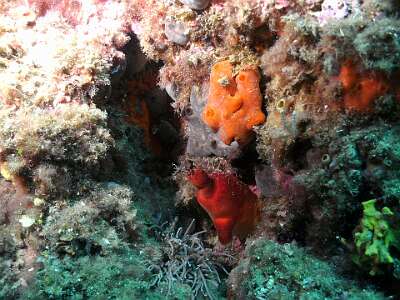 PICT0034