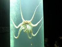 CIMG0686
