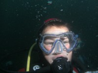 Picture 443740488