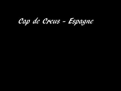 CREUS