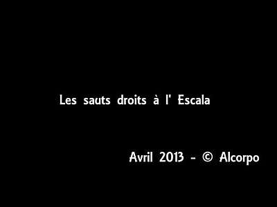 les sauts esc(Conflicted copy 2018-05-28 from Tablette-Alcorpo)