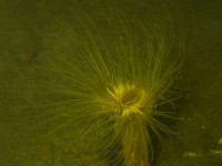P7160110