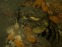P7160116