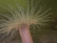 P7160147