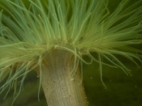 P7160148