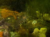 P7170200