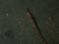 P7170212