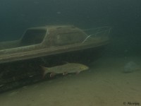 PA290040
