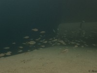 PA290049