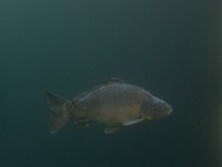 PA290053