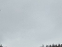 20170115 123305 HDR