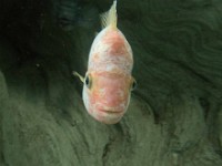 P6170163