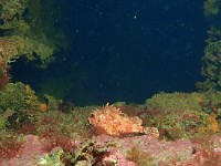 P4170184