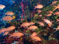 P4170232
