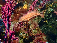 P4170238