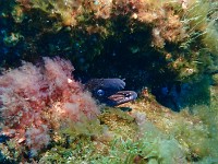 P4170282
