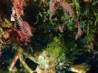 P4170347