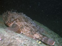 P8020132