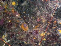 P8020156