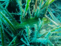 P8080050