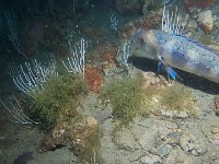 poisson1