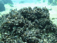 IMG 4282