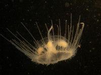 P9180053