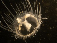 P9180057