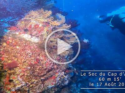 GH013442 YouTube  Le sec du cap d'armes