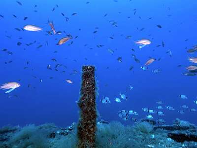 SportDiver 20260813 084408 copie