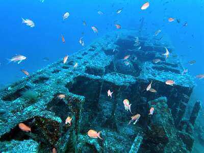 SportDiver 20260813 084540 copie