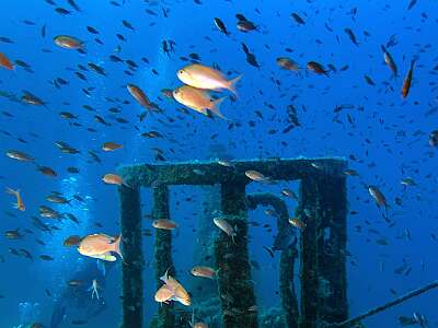 SportDiver 20260813 084552