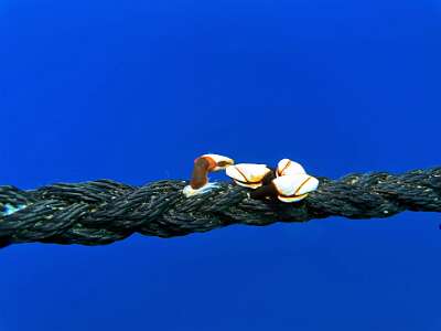 SportDiver 20260813 090103 copie