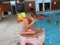 pisc2000 06